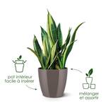 brussels diamond rond 14cm lovely rouge